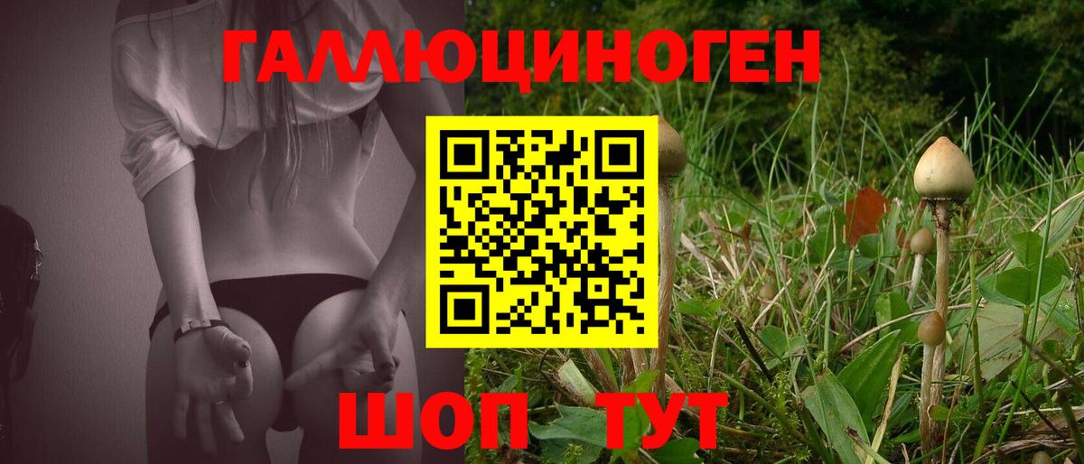 Галлюциногенные грибы MAGIC MUSHROOMS  Вход с VPN  Лесной  Галлюциногенные грибы Psilocybine cubensis 