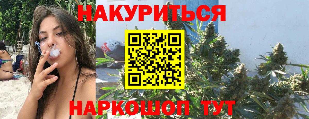 Шишки марихуана семена Лесной